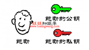 https数字证书交换过程 资料 1
